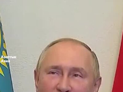 Тигры возвращаются в дикую природу Казахстана