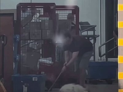 В Ивано-Франковске сотрудники «Новой почты» выгнали собаку: их уволили