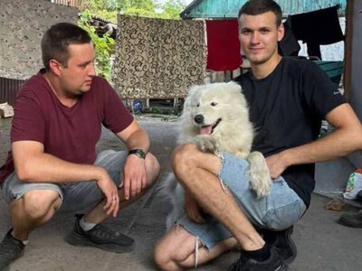 Собаку, которую выгнали из отделения Новой почты в жару, приютили сотрудники компании