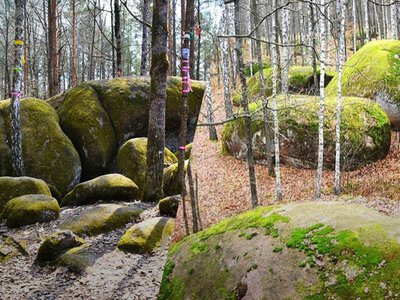 Это место в Украине пугает туристов: посреди леса стоит целая деревня из камня