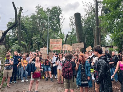 В Киеве около 200 человек вышли на протест против вырубки деревьев: фоторепортаж