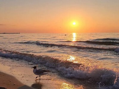 Можно купаться? Какая температура морской воды у Одессы 10 августа