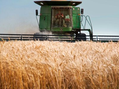 Кабмин изменил условия кредитования аграриев по программе 5-7-9%