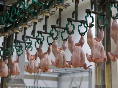  Доля казахстанского мяса птицы на внутреннем рынке выросла до 78% 