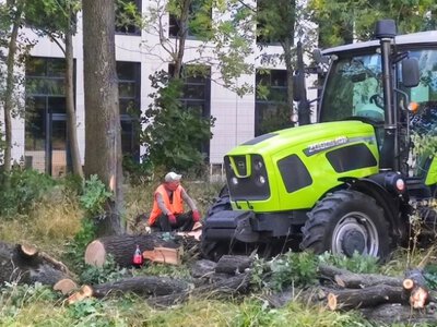 В Киеве на Теремках после протестов приостановили вырубку деревьев под теплотрассу: что говорят в КГГА