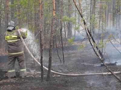  80 работников «Семей орманы» получили 41 млн тенге задержанной зарплаты 