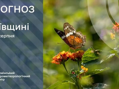 Самый жаркий день перед прохладой: какая будет погода в Киеве 11 августа