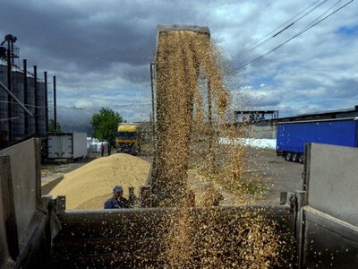 Отгрузка зерна на экспорт из портов Большой Одессы сократилась в августе на 84%
