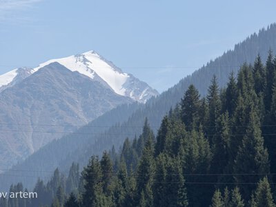  Пять человек за день пришлось искать спасателям в горах Казахстана 