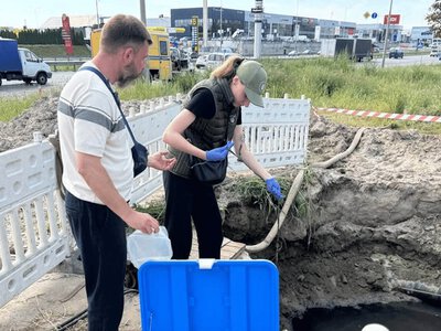 Массовая гибель рыбы в Киевской области: причину устранили