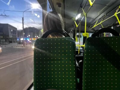 У Львові кіт став зіркою соціальних мереж (фото)