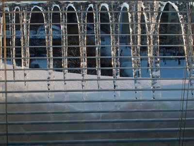 Жалюзі збирають пил швидше за меблі: як очистити їх без миття кожної ламелі окремо