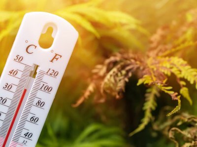 Как пережить жару дома: эти вещи превращают дом в настоящую печь