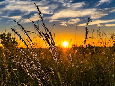 Какая погода будет в Николаеве и области в пятницу