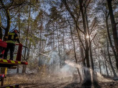 В Германии из-за лесного пожара эвакуировали более 1800 человек, огонь приблизился к деревне у границы с Бельгией