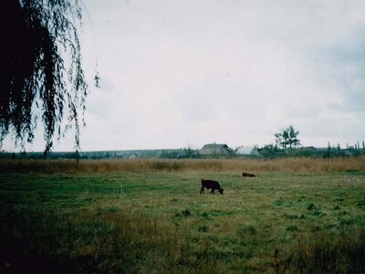 “Де народилася коза, там солодша лоза”