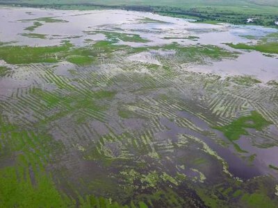 Стародавні колумбійці побудували величезну водну систему без централізованої влади
