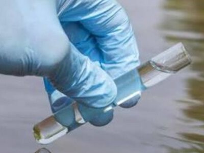 Гибель рыбы в Киевской области: эксперты рассказали о состоянии воды