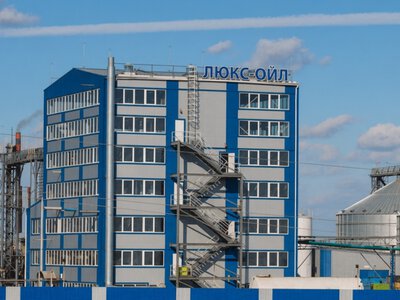 Масличный завод в Николаевской области планирует масштабную реконструкцию: что предусматривает проект
