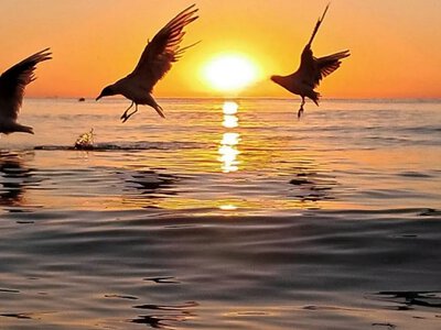 Прохладно ночью и тепло днем: какой будет морская вода в Одессе 15 августа