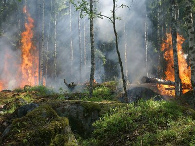Такое происходит впервые: миллионы британцев получили экстренное предупреждение об опасности