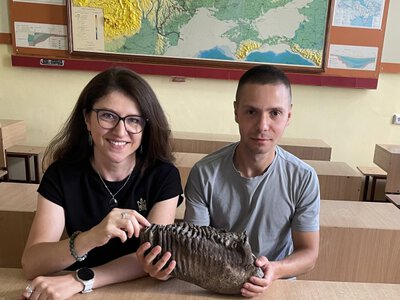 На Львовщине нашли зуб мамонта в возрасте сотни тысяч лет