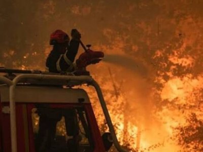  Из-за крупнейшего в истории страны лесного пожара в Бельгию направили самолеты ЕС 