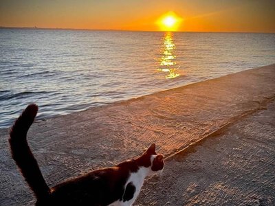 Какой будет вода в море возле Одессы 16 августа: прогноз для отдыхающих