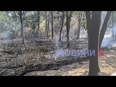 В Николаеве снова горит зеленая зона «Дубки» (фото, видео)