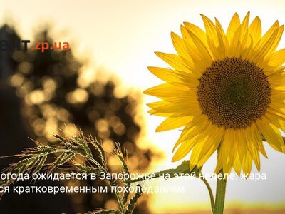 Какая погода ожидается в Запорожье на этой неделе: жара сменится кратковременным похолоданием