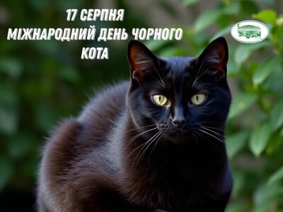 17 серпня – Міжнародний день чорного кота