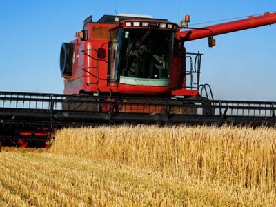 Украина нарастила аграрный экспорт в ЕС: какие страны обеспечили 70% торговли