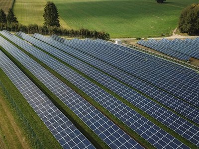 Сонячні панелі можуть непомітно псувати ґрунт ще на етапі будівництва: дослідили агровольтаїчне поле