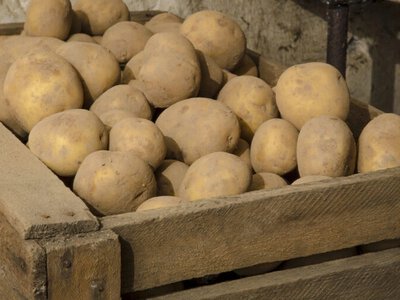 Картофель больше не будет прорастать: что нужно положить рядом