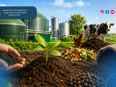 В целях повышения качества и конкурентоспособности отечественной продукции будет введен новый национальный стандарт производства органических удобрений