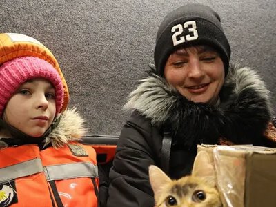 Днепропетровская область расширила зону принудительной эвакуации семей с детьми: какие общины охватывает это решение