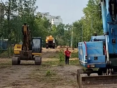 В Киеве на Теремках заметили технику: в КГГА уверяют, что не возобновляли работы по вырубке деревьев