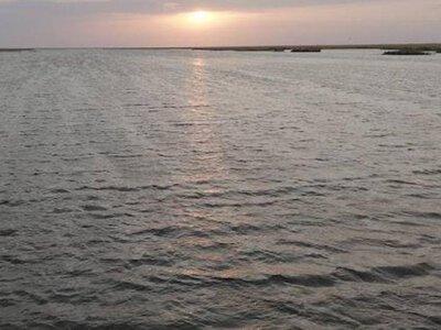  1,2 млрд кубометров воды направили в Северный Арал: увеличат ли подачу 