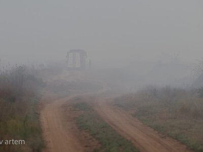  Крупнейший за сто лет лесной пожар в Бельгии локализовали 