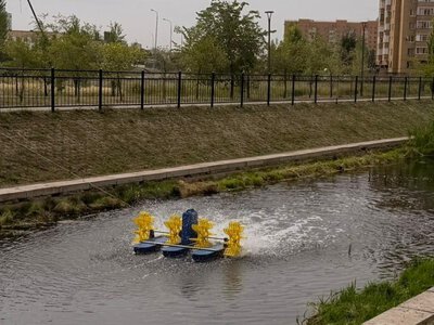  Мусор, ил и водоросли: как очищают реку Сарыбулак в Астане 
