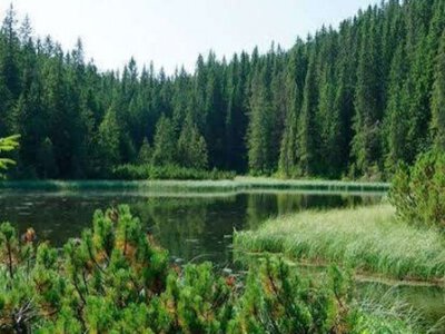 Степан Гошовский и Богдан Васильков наладили схему незаконной добычи воды