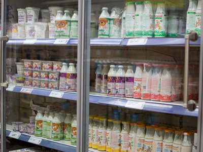 Фальсификат: какие продукты питания подрабатывают чаще и на что обращать внимание при покупке в магазине