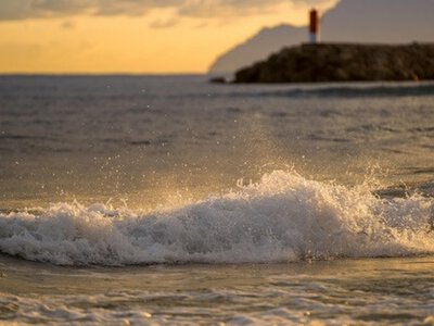 Северное море прогрелось до максимума за 40 лет