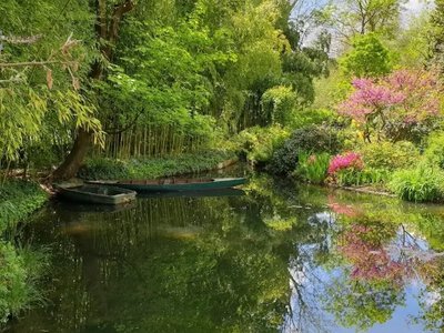 Жара нанесла ущерб садам Клода Моне во Франции: часть растений полностью погибла