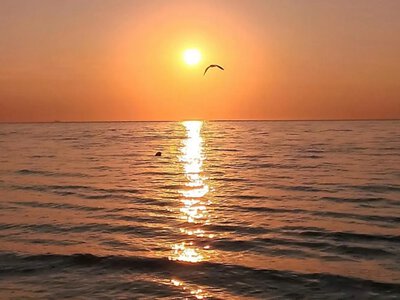 Море у Одессы 21 августа: стоит ли рассчитывать на теплую воду