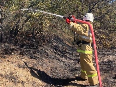 В Ялте третий день тушат пожар в горах, площадь возгорания разрослась до 50 гектаров – МЧС РФ