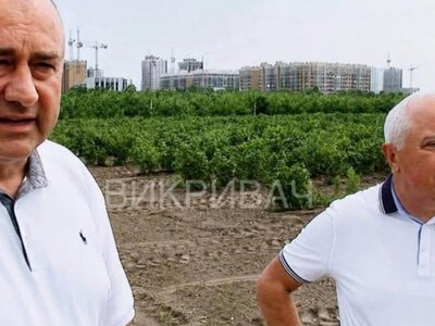 Игорь Гриник возглавил НААН: что известно об имуществе его семьи
