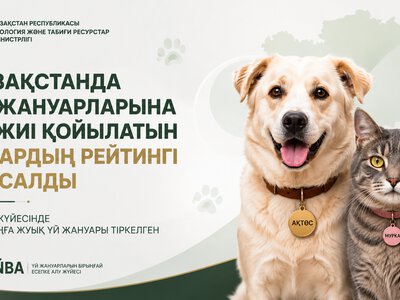 В Казахстане составили рейтинг самых популярных кличек домашних животных