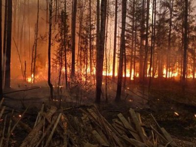 Два лесных пожара вспыхнули в Казахстане за сутки 