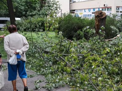 Жертвы в Прибалтике и блэкаут в Беларуси: мощный циклон пронесся сразу по четырем странам Европы